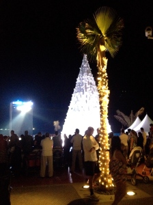 Christmas tree and palm tree...because that's a normal sight for me, NOT!