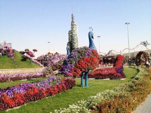 Miracle Gardens, Dubai